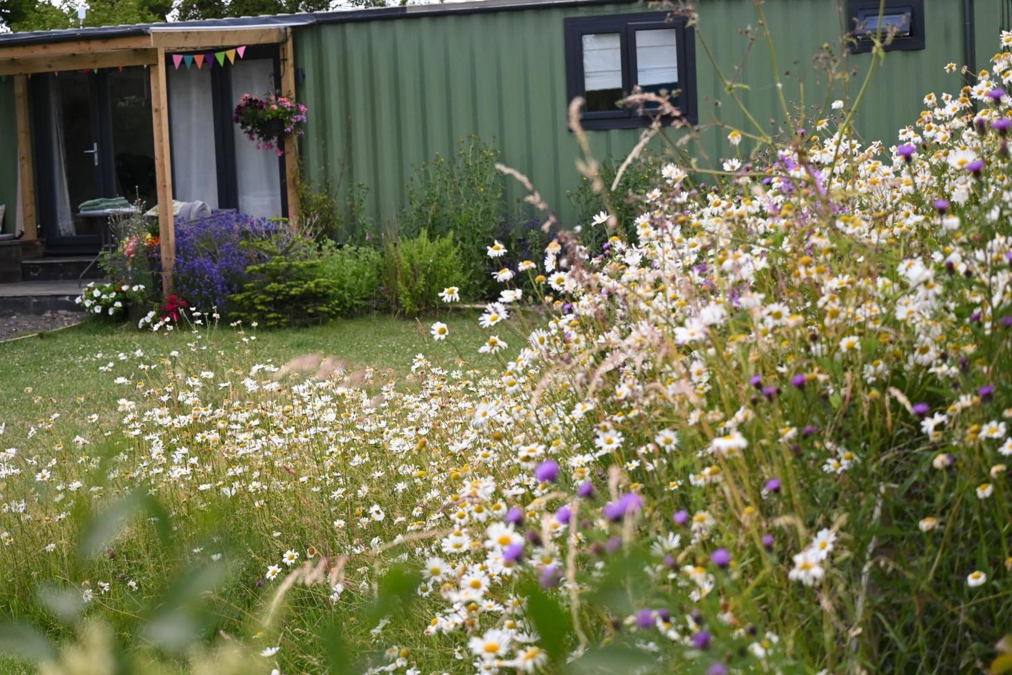 Sweet Pea Cabin Badsey Exteriör bild