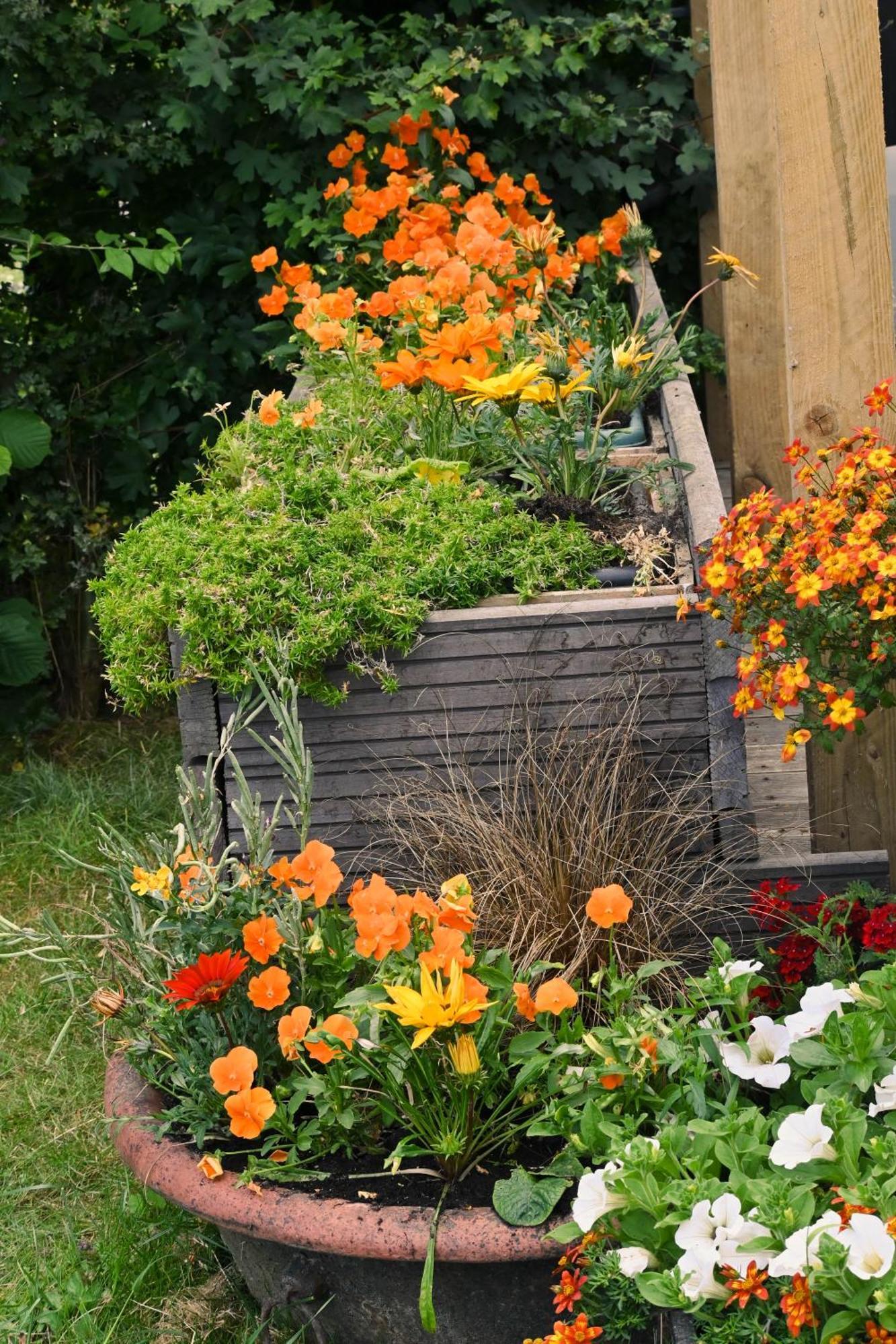 Sweet Pea Cabin Badsey Exteriör bild